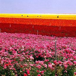 盗版Switch游戏机商店被腾讯起诉 获利2800元赔腾讯20万